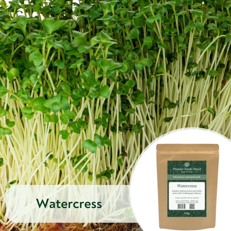 premierseedsdirect2967265