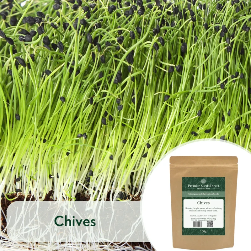 premierseedsdirect2967688