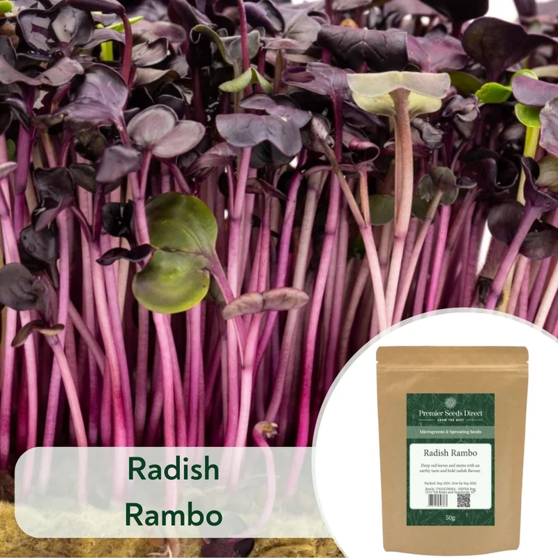 premierseedsdirect2968295