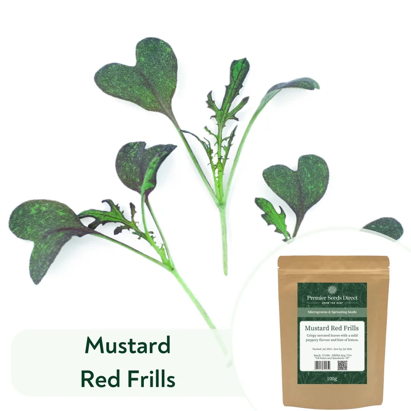 premierseedsdirect2969002