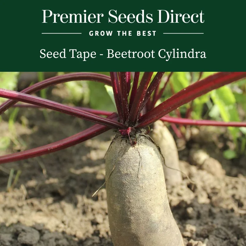 premierseedsdirect2970038