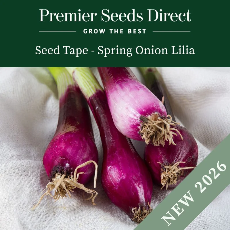 premierseedsdirect2970057