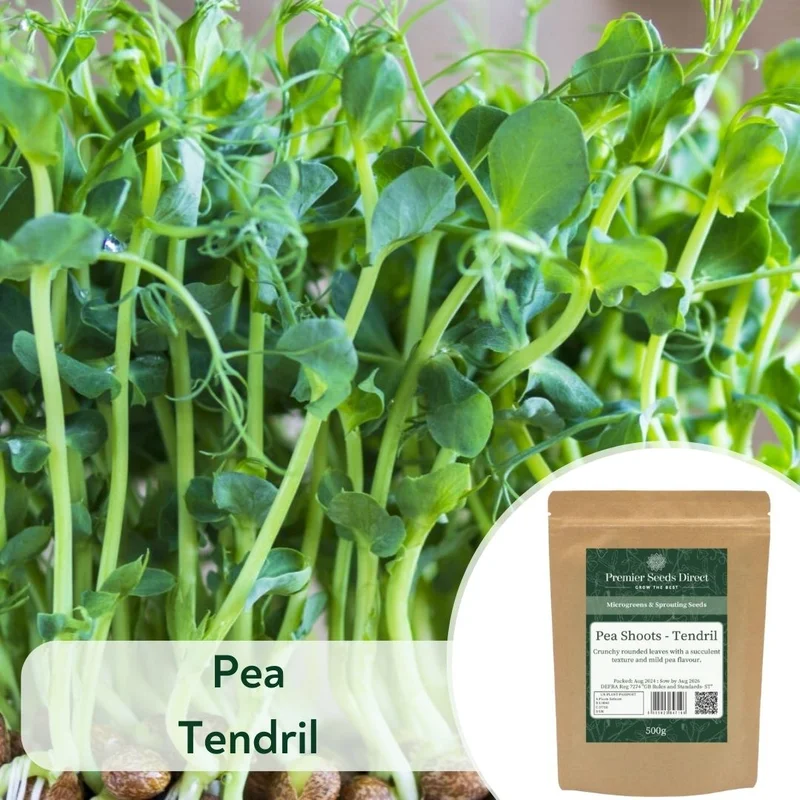 premierseedsdirect2970118