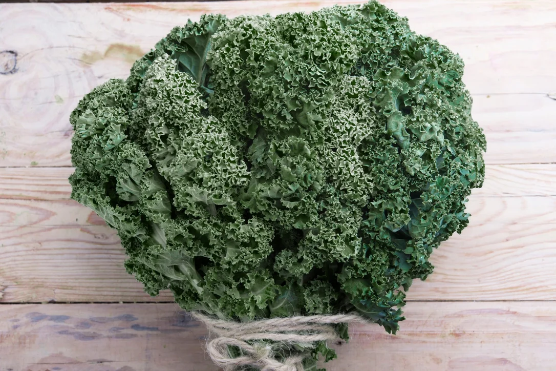 premierseedsdirect2970250