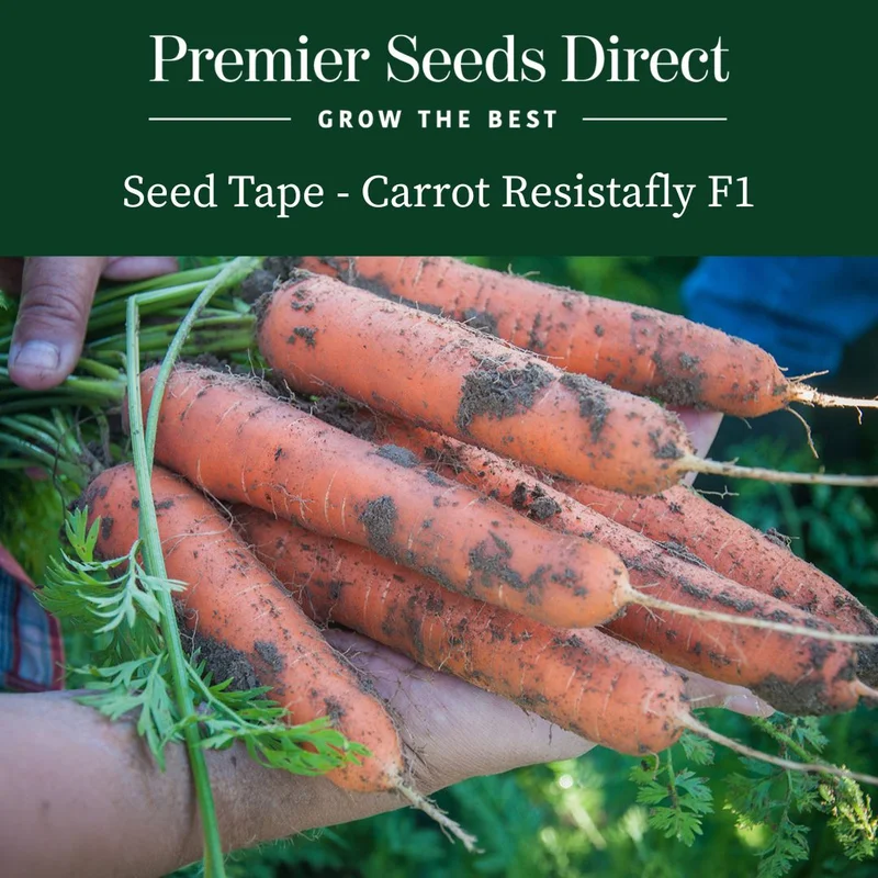 premierseedsdirect2970910