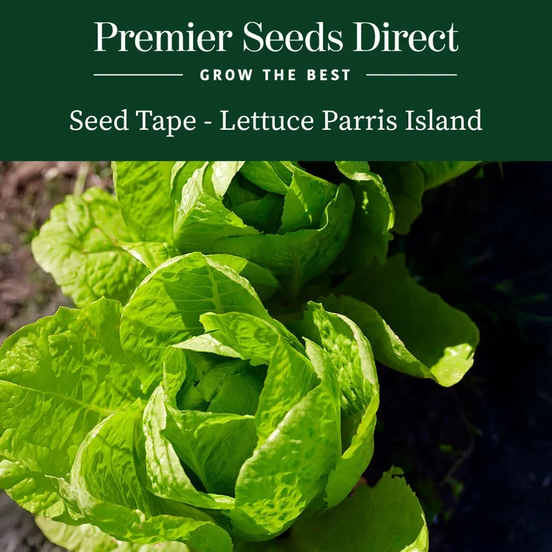 premierseedsdirect2970932