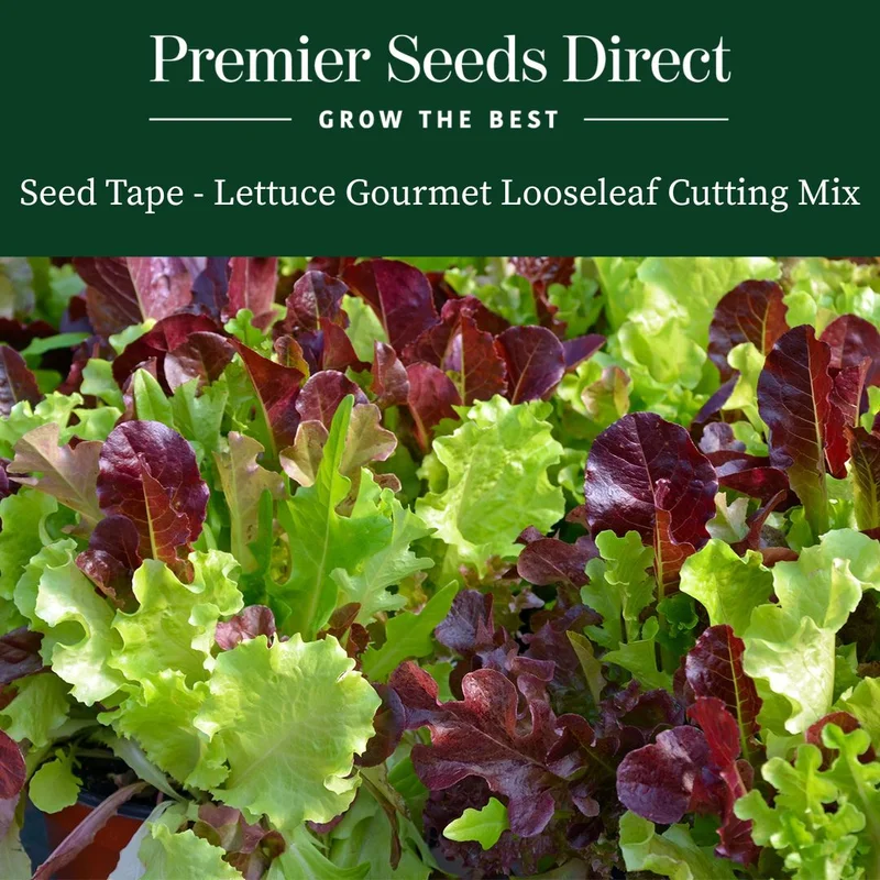 premierseedsdirect2973616