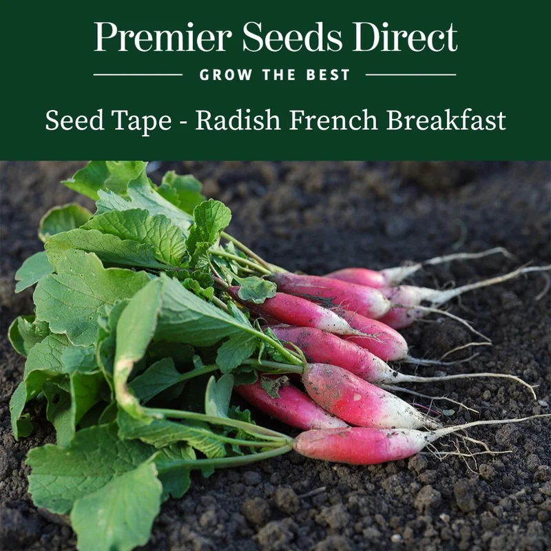 premierseedsdirect2973634