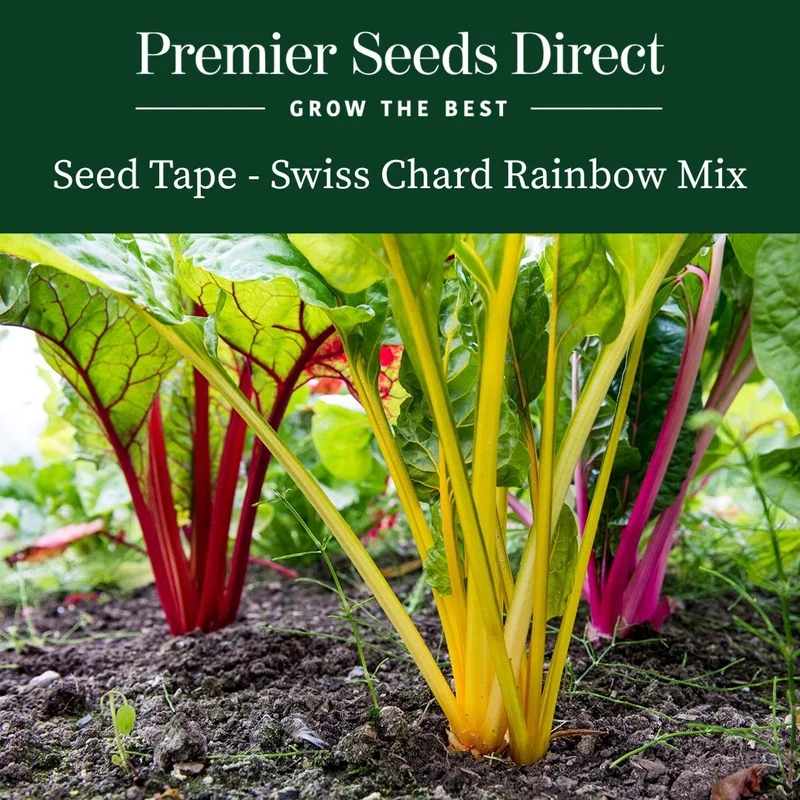 premierseedsdirect2973653