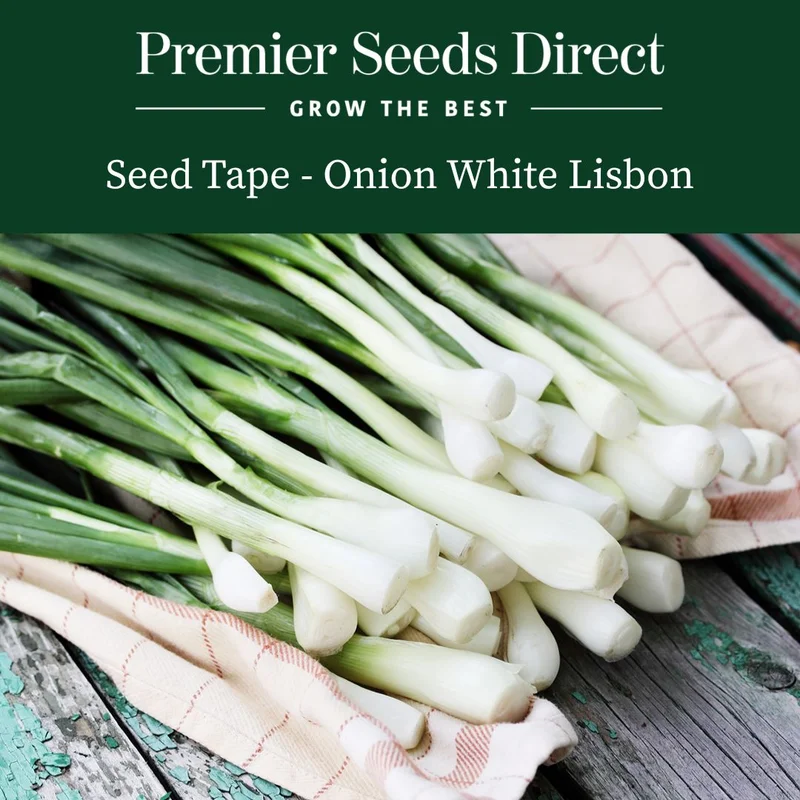 premierseedsdirect2973672