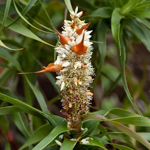 prettywildseeds2933298