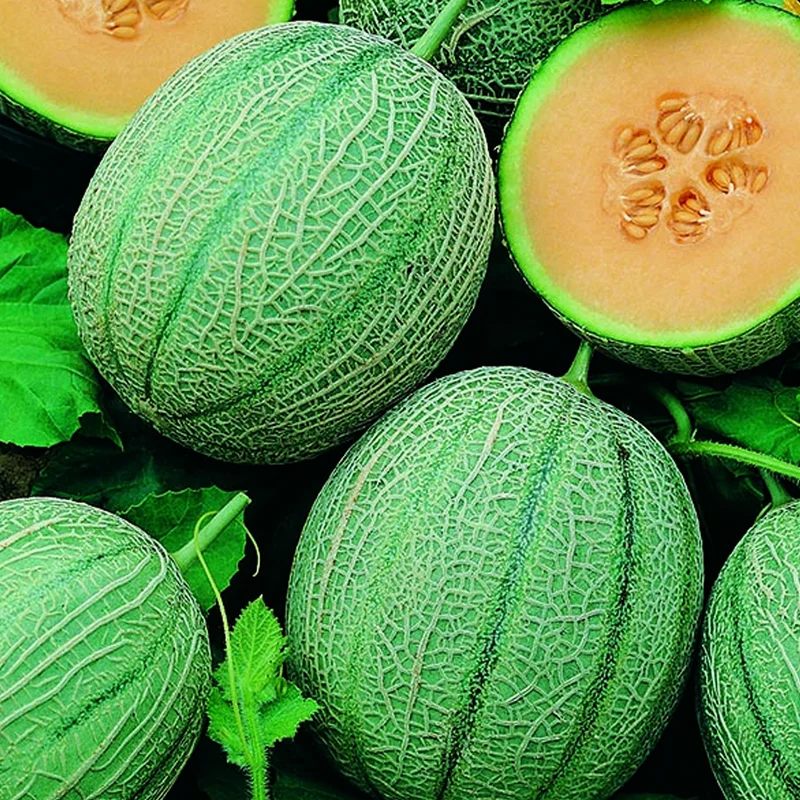 prettywildseeds2935746