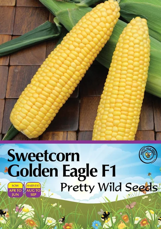 prettywildseeds2939489