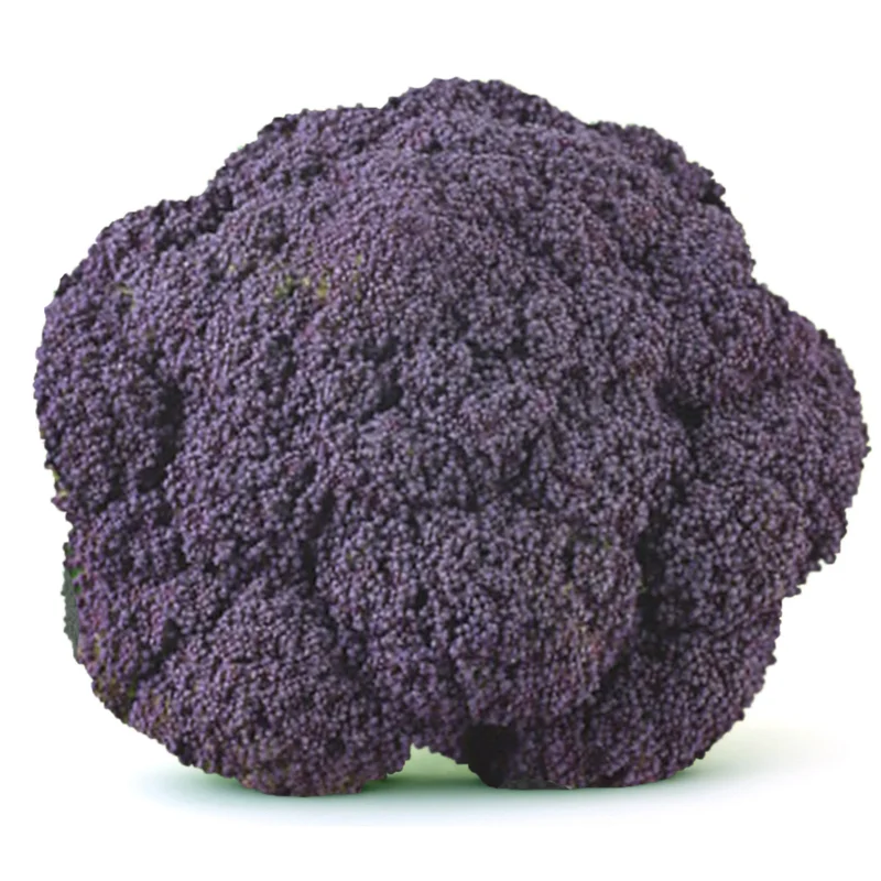 prettywildseeds2940170