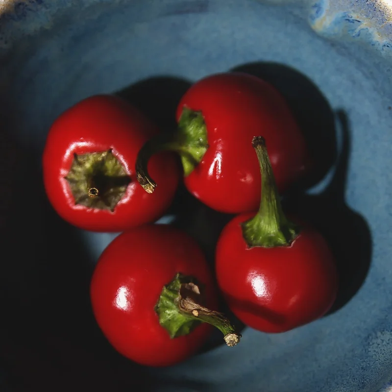prettywildseeds2941438