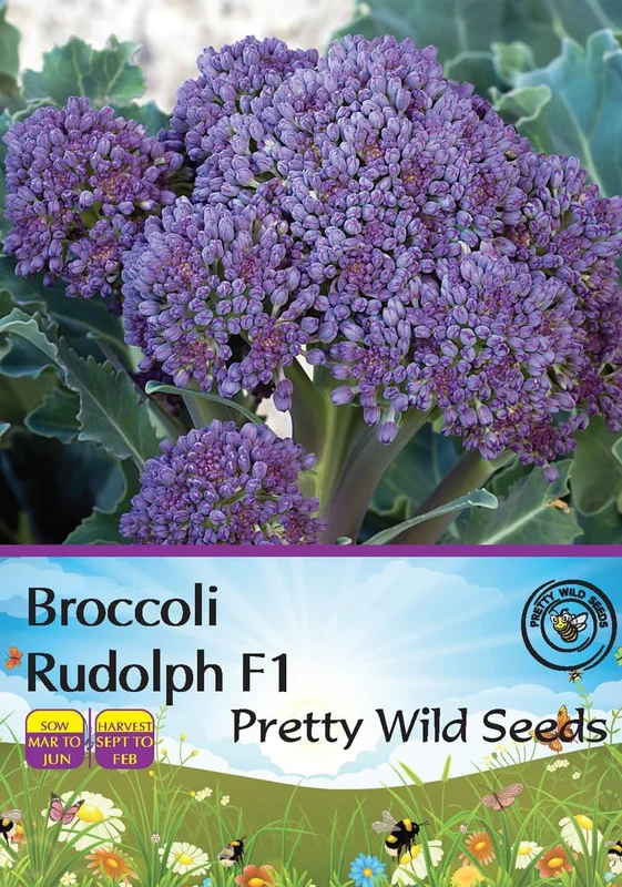 prettywildseeds2941746