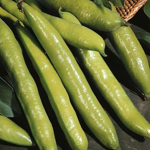 prettywildseeds2942266