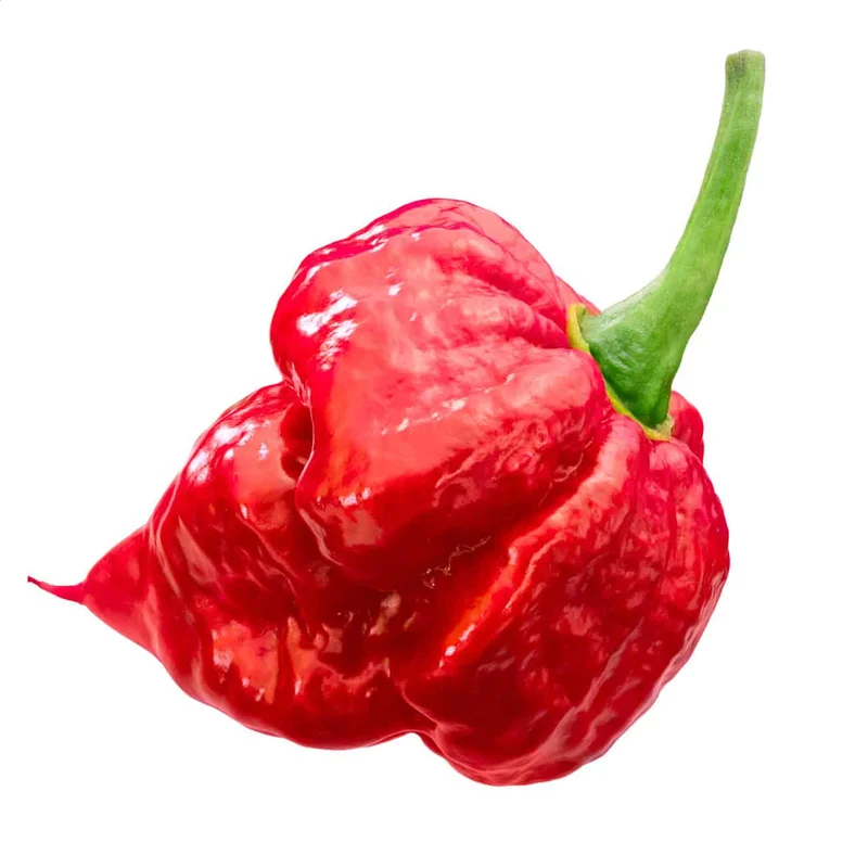 prettywildseeds2942951