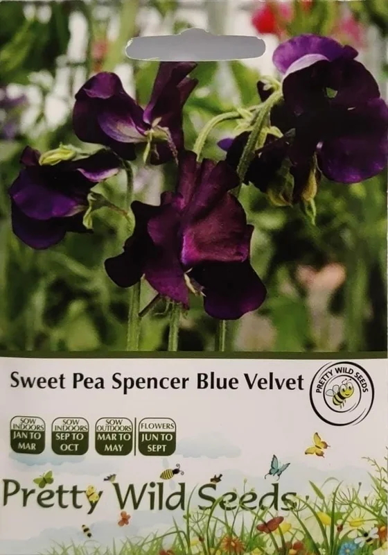prettywildseeds2943734