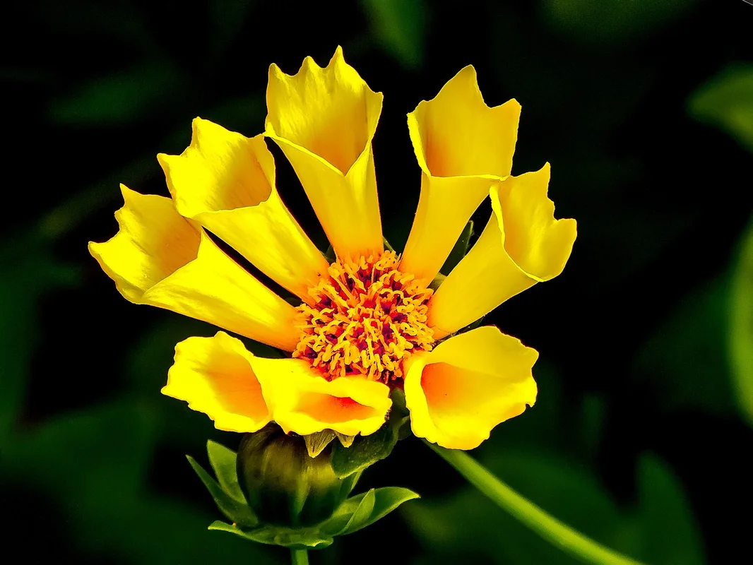 prettywildseeds2943843