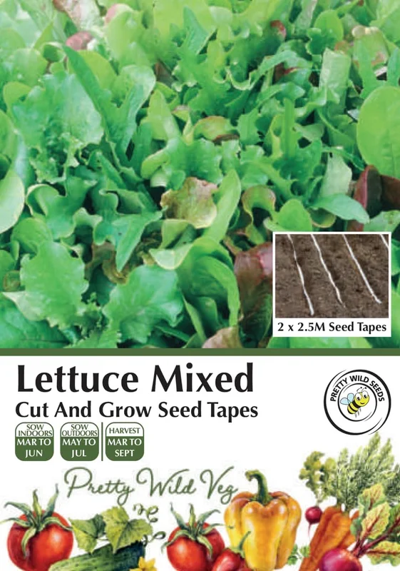 prettywildseeds2943988