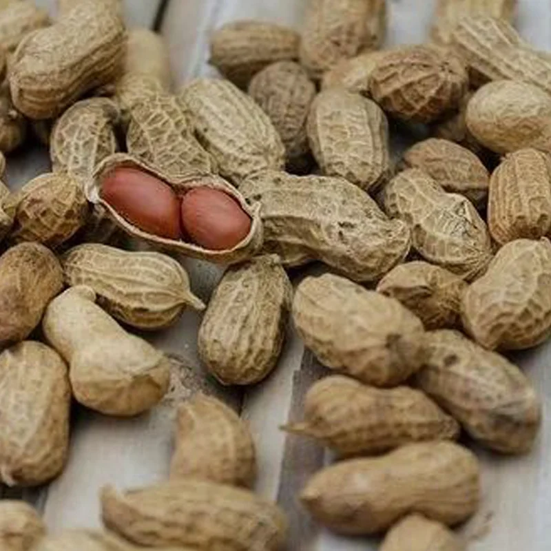 prettywildseeds2944347