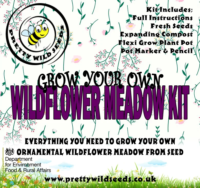prettywildseeds2946756