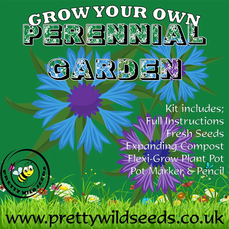 prettywildseeds2946799