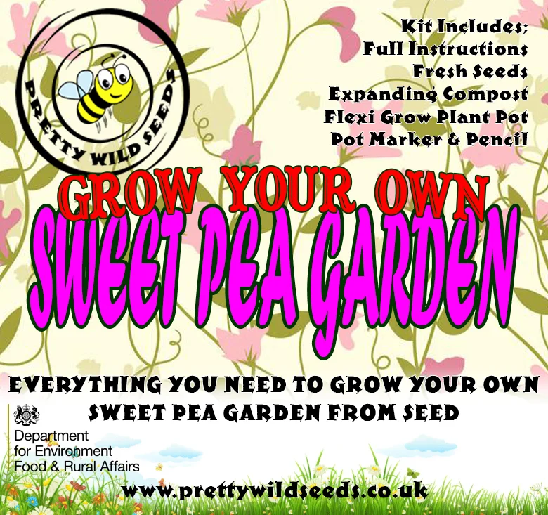 prettywildseeds2947001