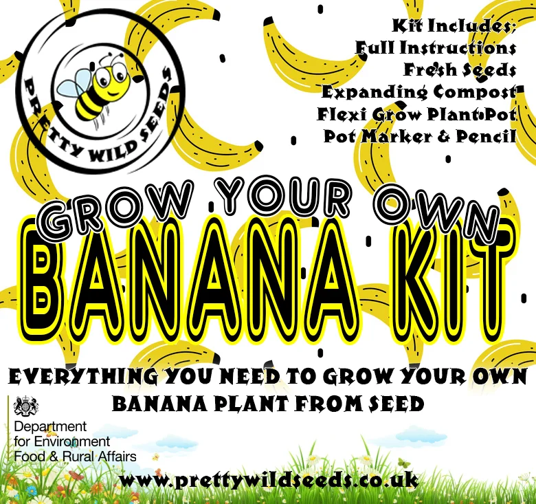 prettywildseeds2947020