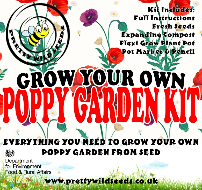 prettywildseeds2947248