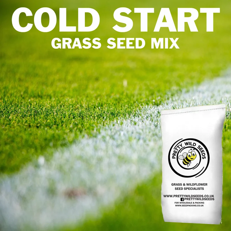 prettywildseeds2947914