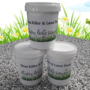 prettywildseeds2948079