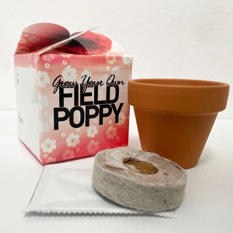 prettywildseeds2949332