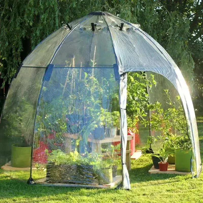 prettywildseeds2954545