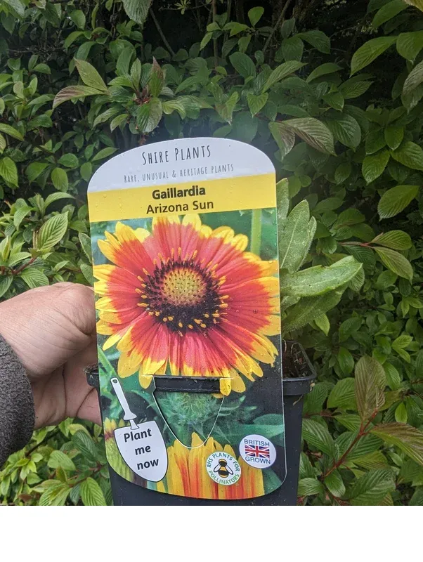 shireplants4401910