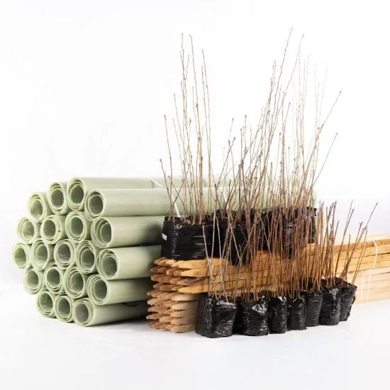 shop.woodlandtrust2977837