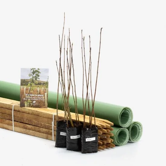 shop.woodlandtrust2977931
