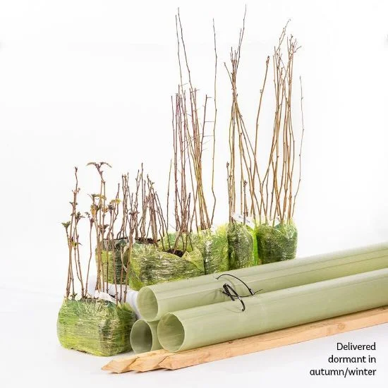 shop.woodlandtrust2978233