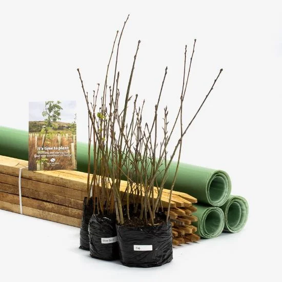 shop.woodlandtrust2978595