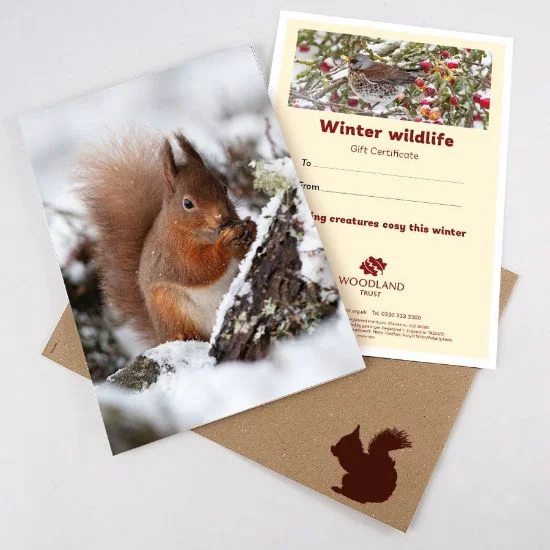 shop.woodlandtrust2979094
