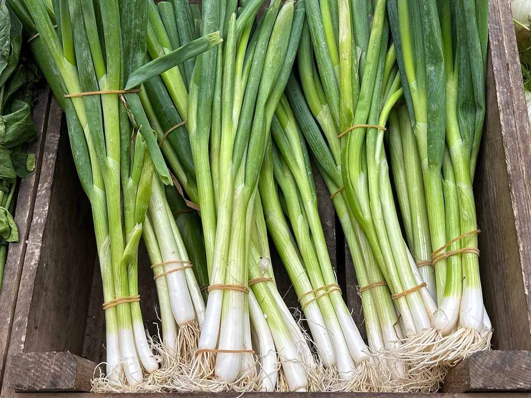 yorkshire-seeds2958360