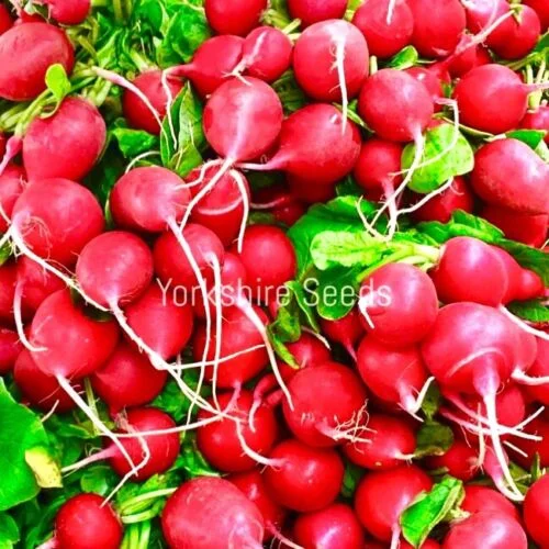 yorkshire-seeds2960152