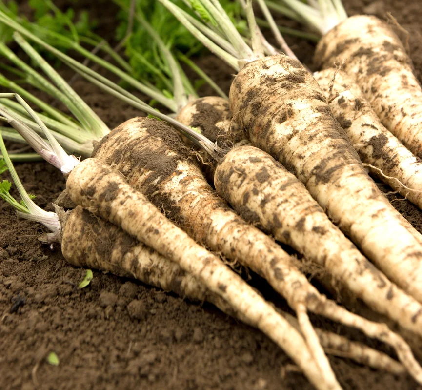 yorkshire-seeds2960387