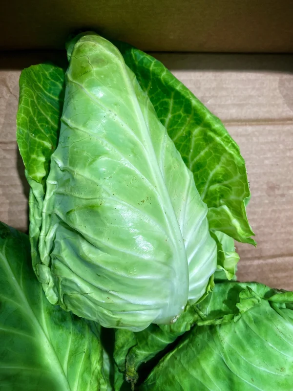 yorkshire-seeds2961833