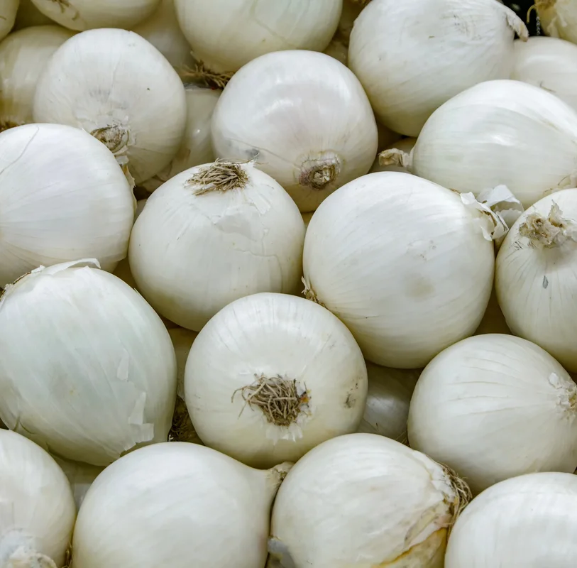 yorkshire-seeds2965742