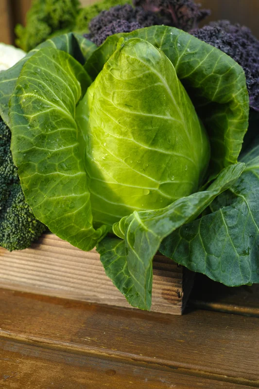 yorkshire-seeds2969026