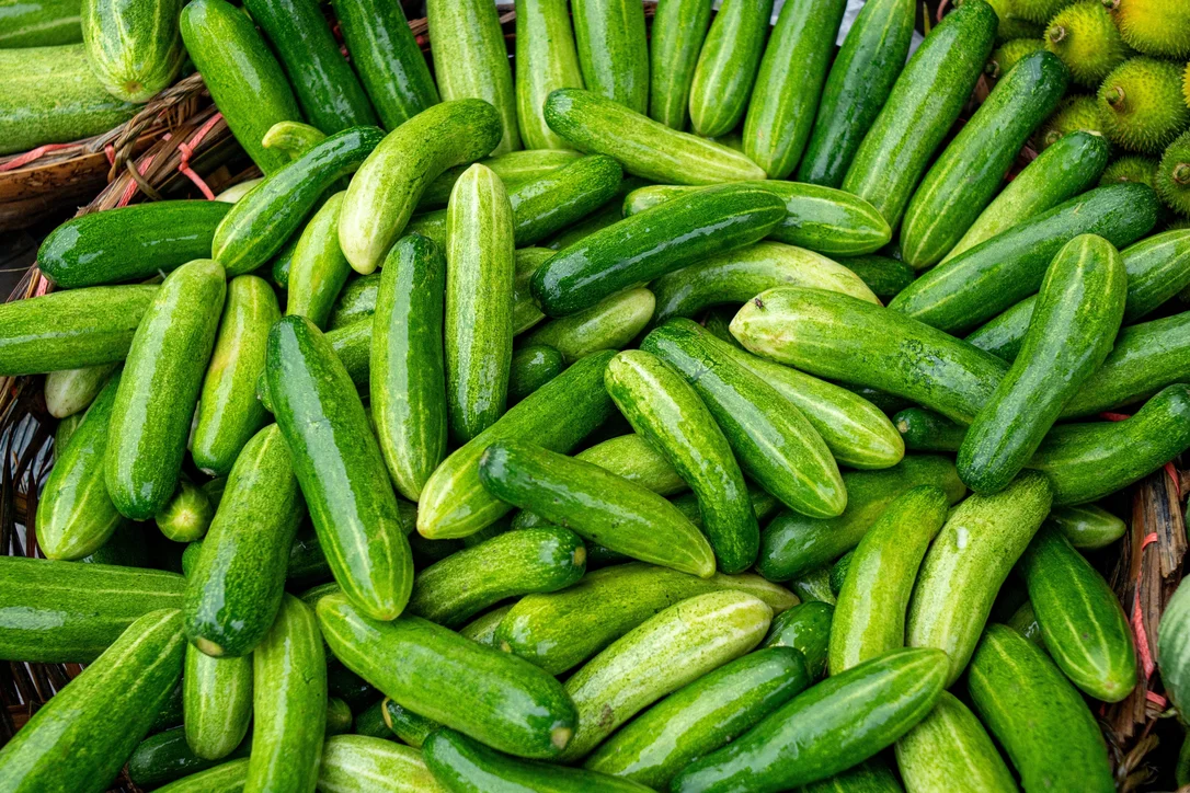 yorkshire-seeds2969426