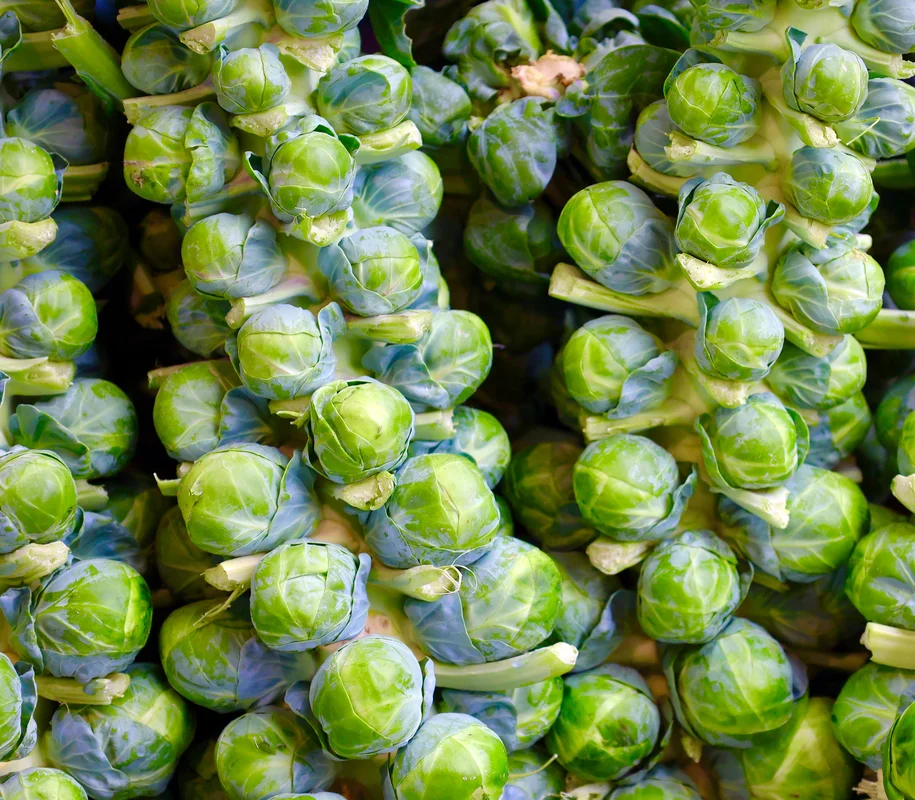 yorkshire-seeds2972136