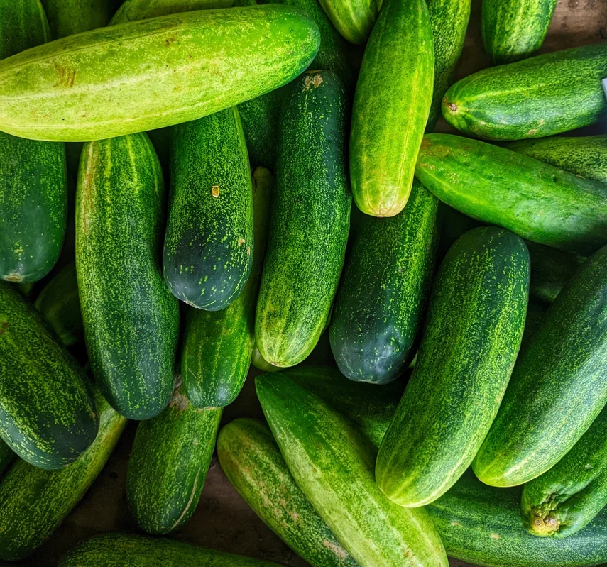yorkshire-seeds2972800